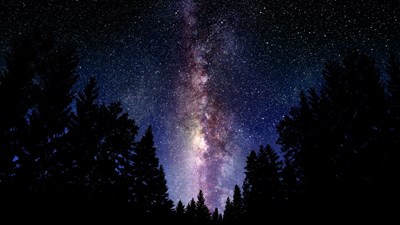 El Universo de Voynich